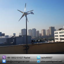 800W High Quality off Grid Power Supply Wind Turbine Generator
